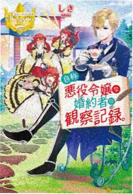 深夜电台 欧美成人向动画海报